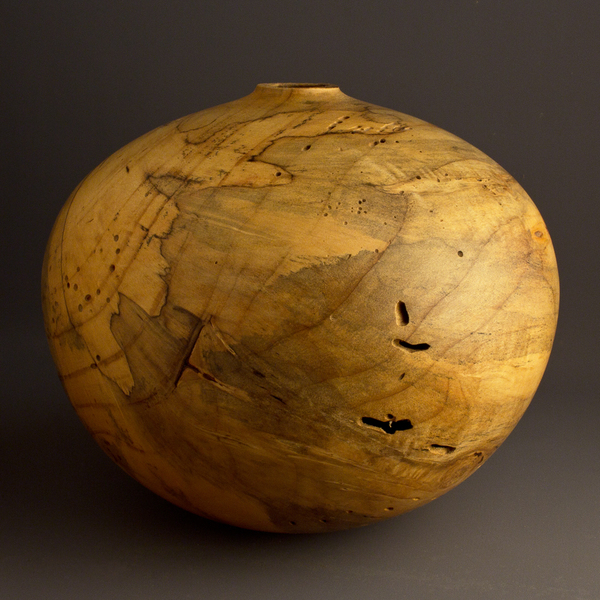 Jason Van Duyn - Wormy Natural Box Elder Hollow #493 - Box Elder Wood - 7 x 8