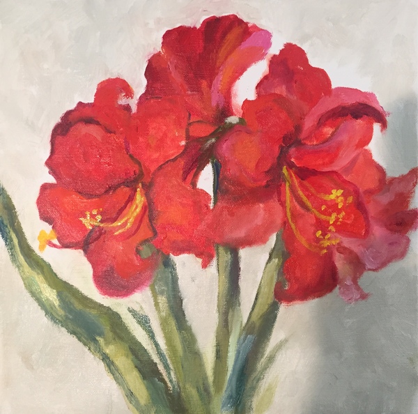 Margaret Hill - Amaryllis - Oil on Canvas - 12 x 12