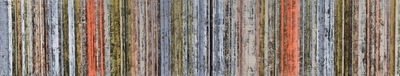 Charles Walker - Ivory Gate - Acrylic on Canvas - 12 x 60