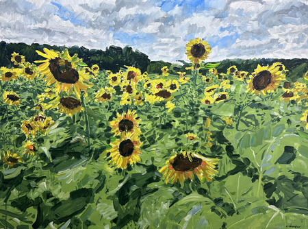 David Shingler - Sunflower Field - Oil on Wood - 30x40