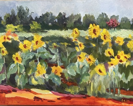 Margaret Hill - Sunflowers in Dix Park - Oil on Canvas - 12x16
