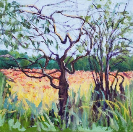 Connie Winters - Poppies Through the Branches - Oil on Canvas - 12x12