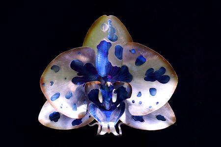 Aiden Dale - 24" Orchid - Mixed Metal