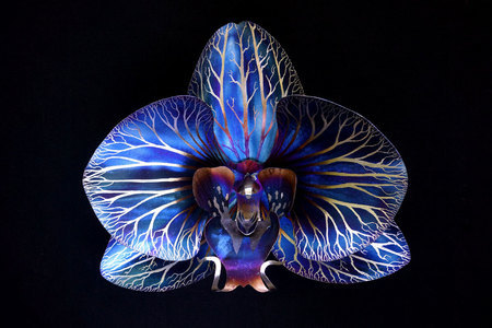 Aiden Dale - 31" Orchid - Mixed Metal