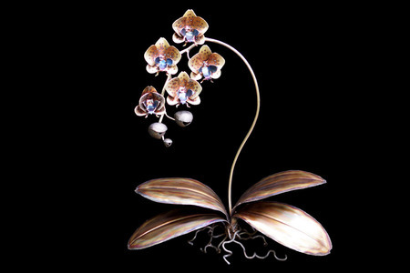 Aiden Dale - Orchid Plant (with roots & leaves) - Mixed Metal - 27x34x11